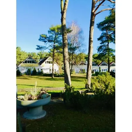 House Behind The Dunes 펜션 프레로