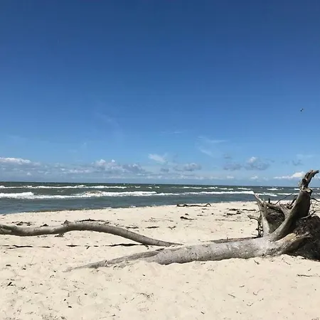 House Behind The Dunes * 프레로